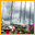 Rolex Volcano Race