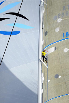 Il TWT Sailing Team in azione